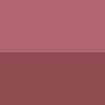 Sorbet