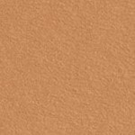 Neutral Tan