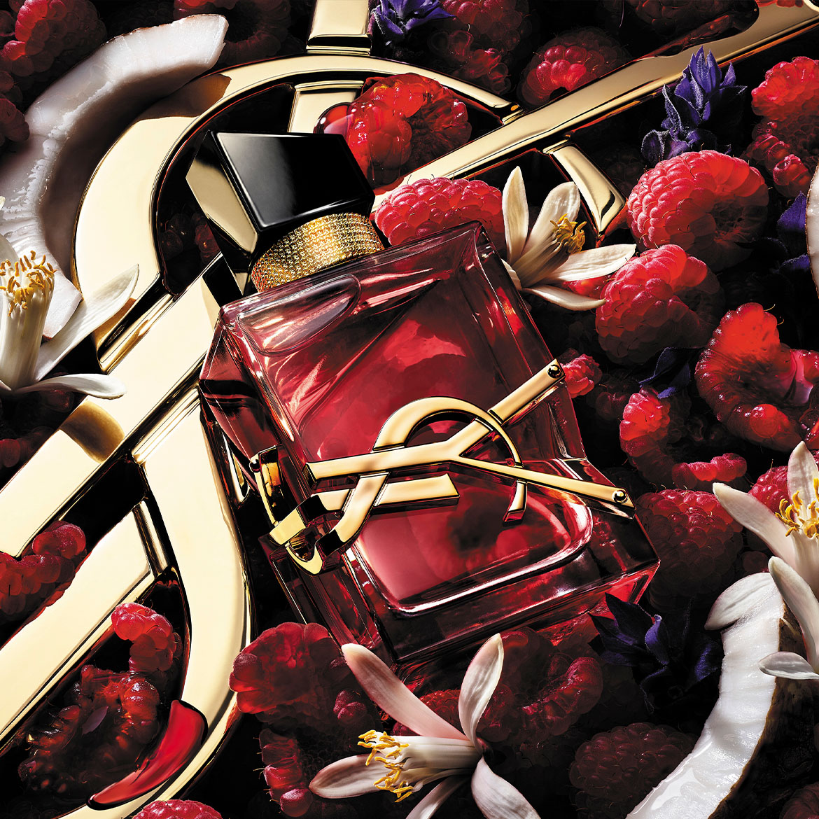 Découvrez le parfum Yves Saint Laurent, un flacon rouge rubis orné du logo doré YSL, entouré de framboises fraîches, de fleurs blanches et de noix de coco.
