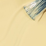 NLH005 - BEE-HIND THE SCENES