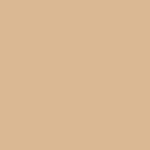 LN3 - Light Neutral 3