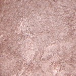 TEMPTING TAUPE