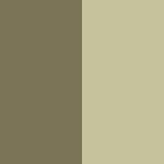40 Olive Twinkle