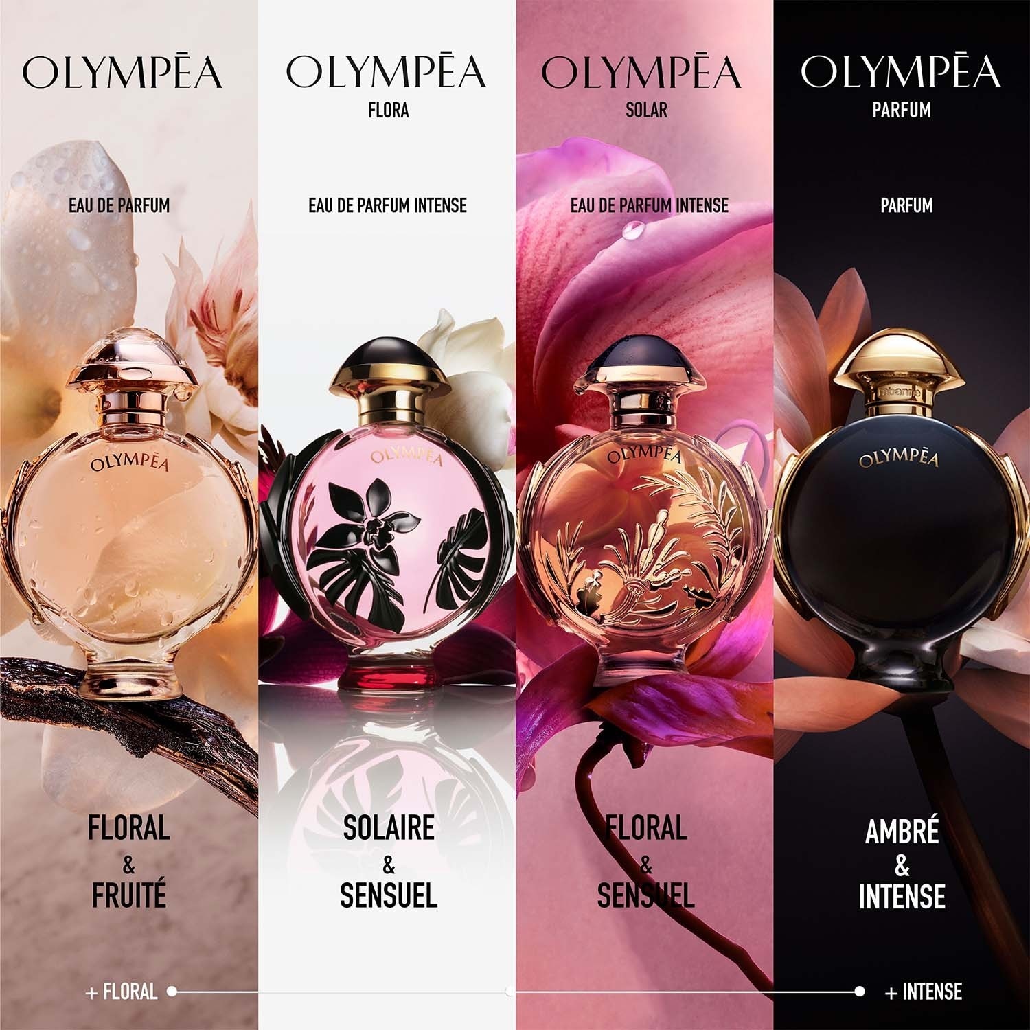 Olympea Cologne Acqua Parfum Olympea Douglas Rabanne Olympea Aqua