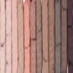 PALETTE MAGNIFEYES 12 PAN 001 NUDE EDITION