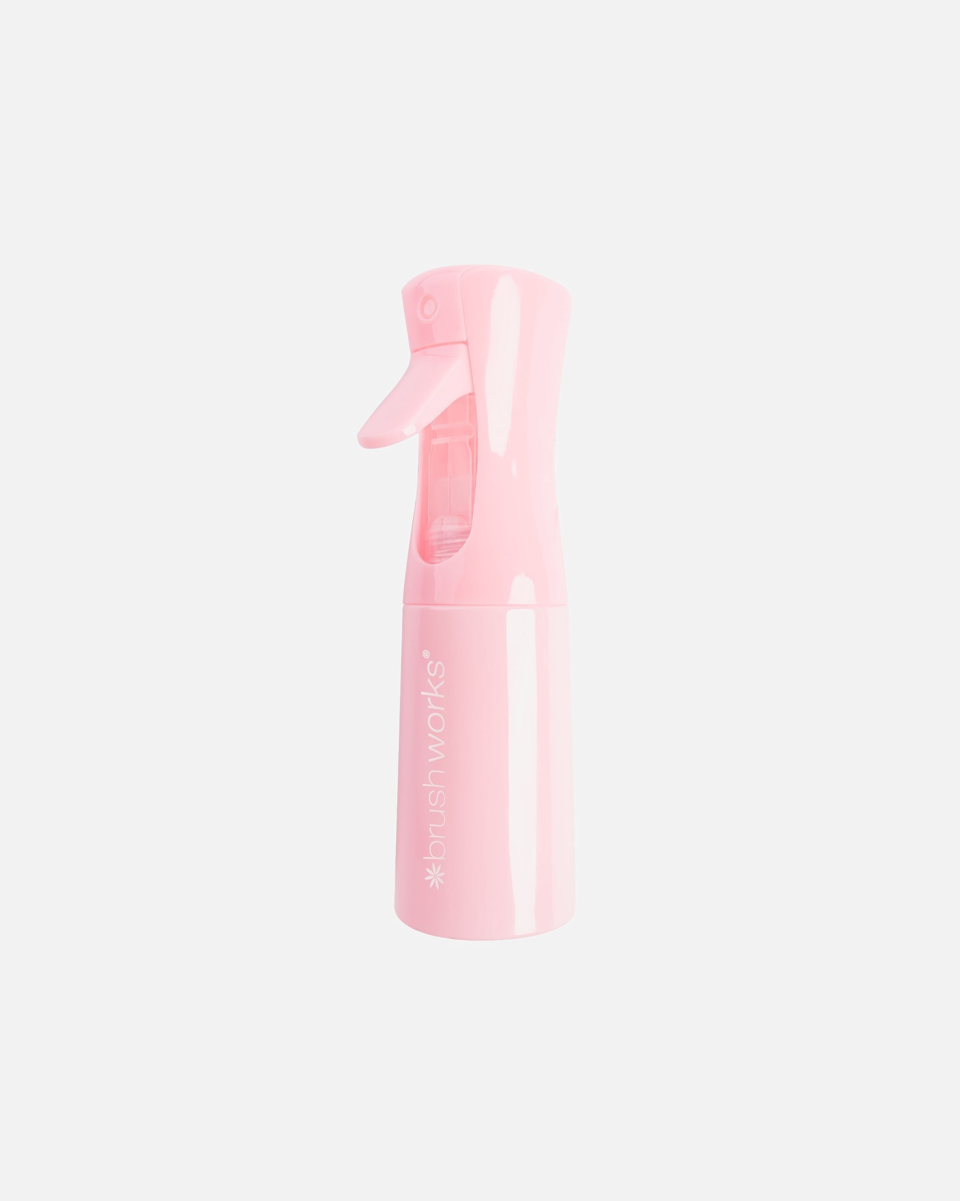 Accessoires pour les cheveux pour Unisexe Brushworks Vaporisateur cheveux 1 unité