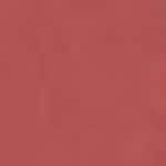 N°200 Rose Zanzibar