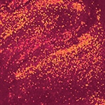 NLH010 - I’m Really an Actress