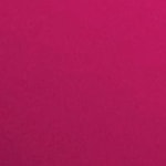 PERFORMER 387 - ÉDITION LIMITÉE