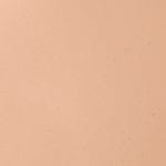 54N Beige