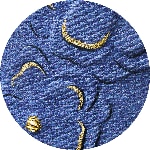 Denim Flora - Édition Limitée