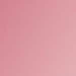 Pink - Édition Limitée