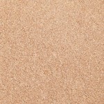 Teinte 01 - Champagne