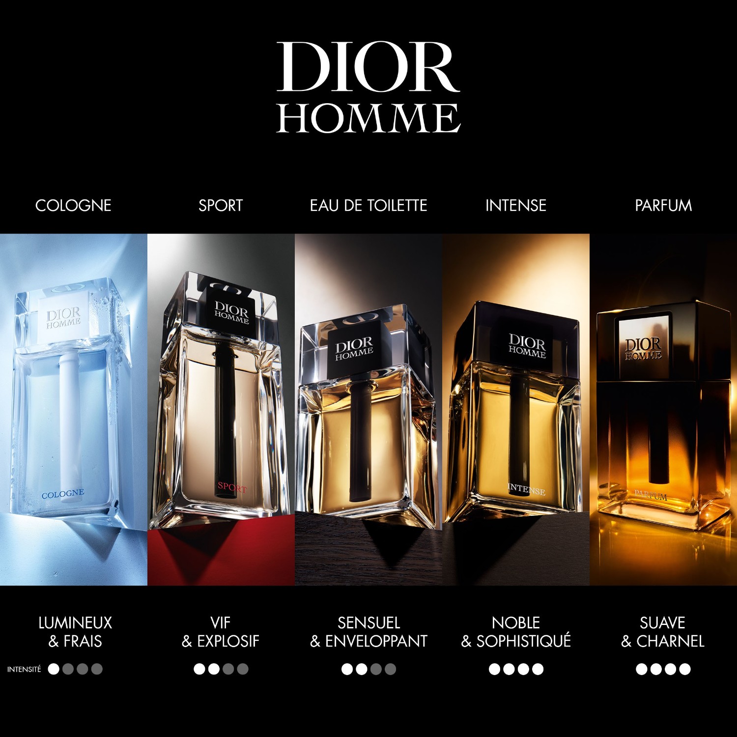 Parfum Dior Intense Precio DIOR Dior Homme Intense Eau De Parfum