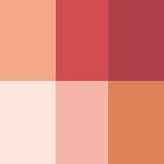 Palette lèvres Red meets Plum