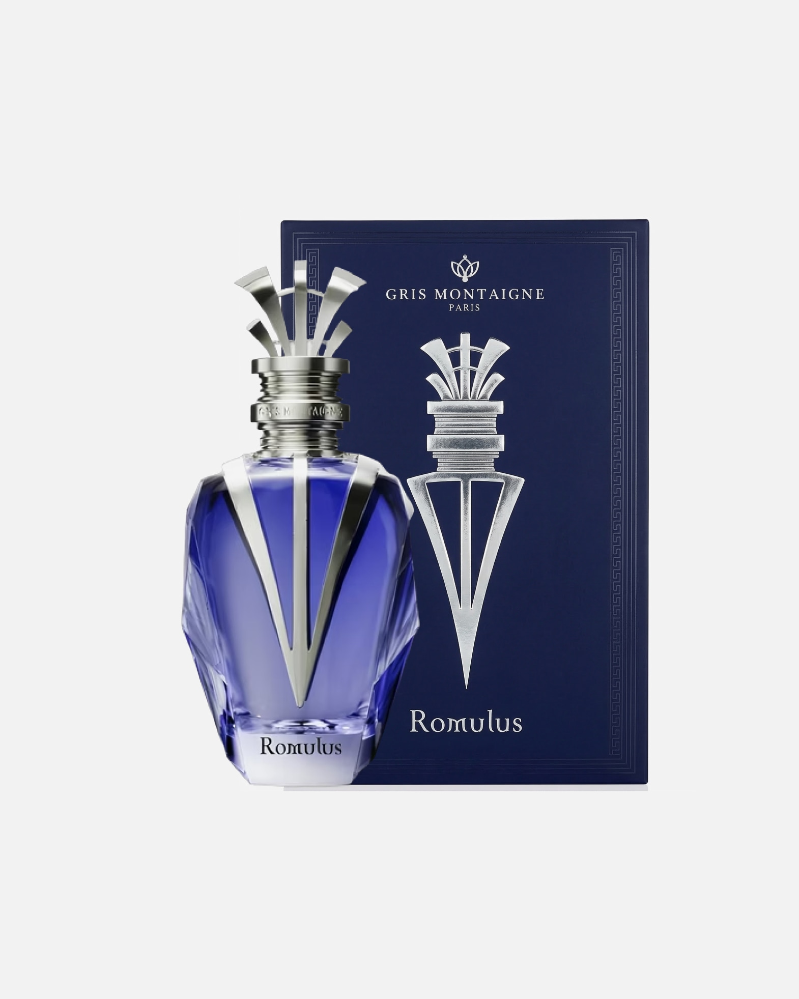 Parfum pour Unisexe Gris Montaigne Default Brand Line Extrait de Parfum Romulus 250 ml