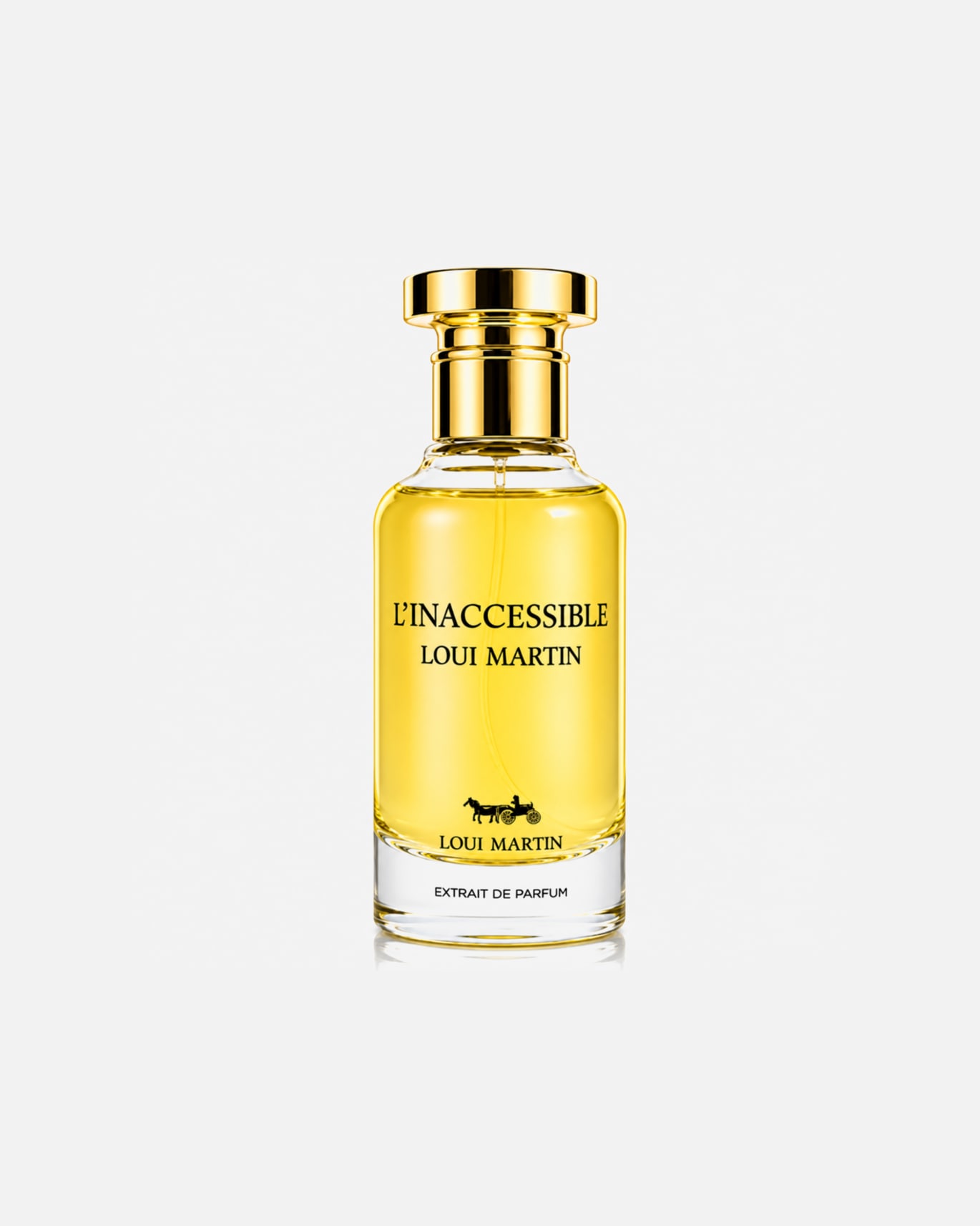 Parfum pour Unisexe Loui Martin Default Brand Line Extrait De Parfum L'inaccessible 100 ml