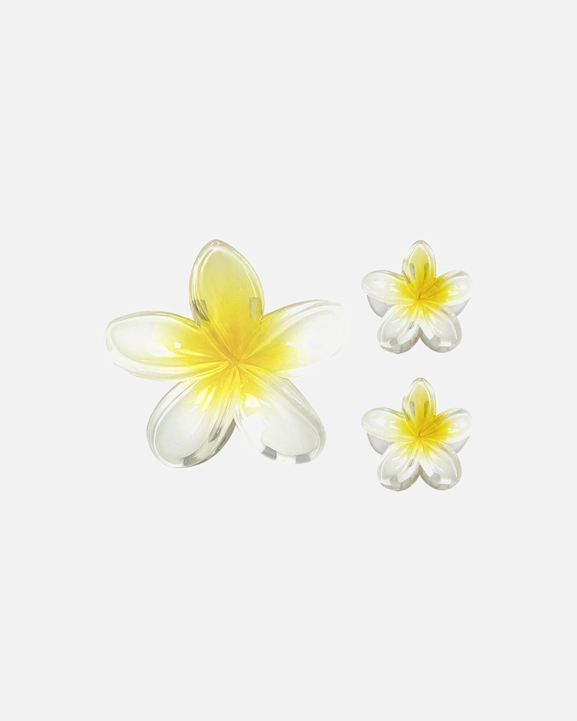 Pinces à cheveux pour Unisexe SOHO Moana Trio Pince à cheveux Yellow Plumeria