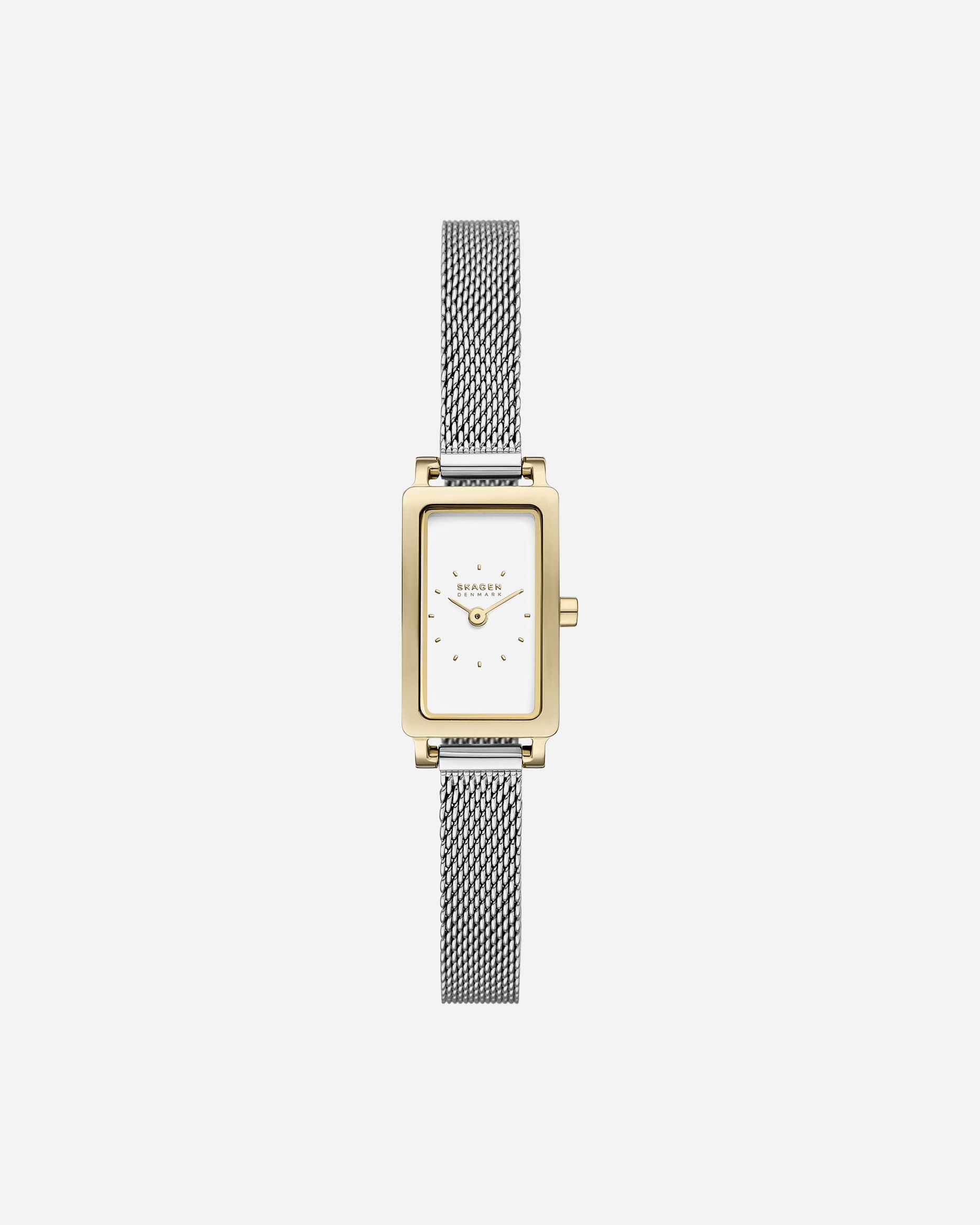 Montre pour Femme Skagen Montres argent