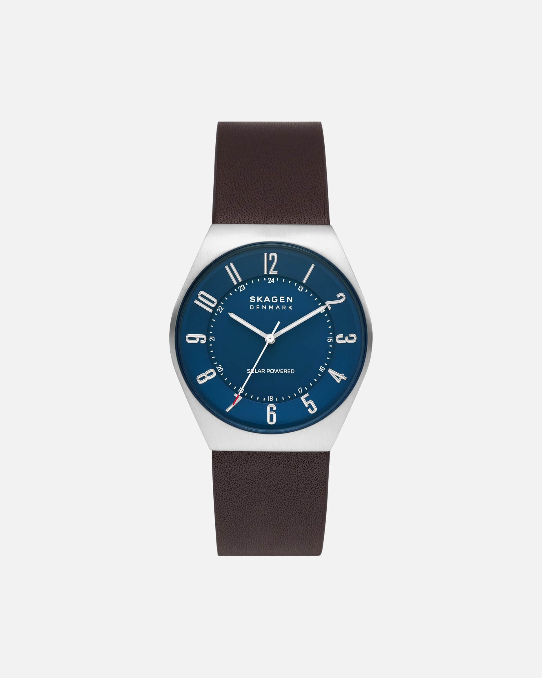 Montre pour Homme Skagen Montres One Size