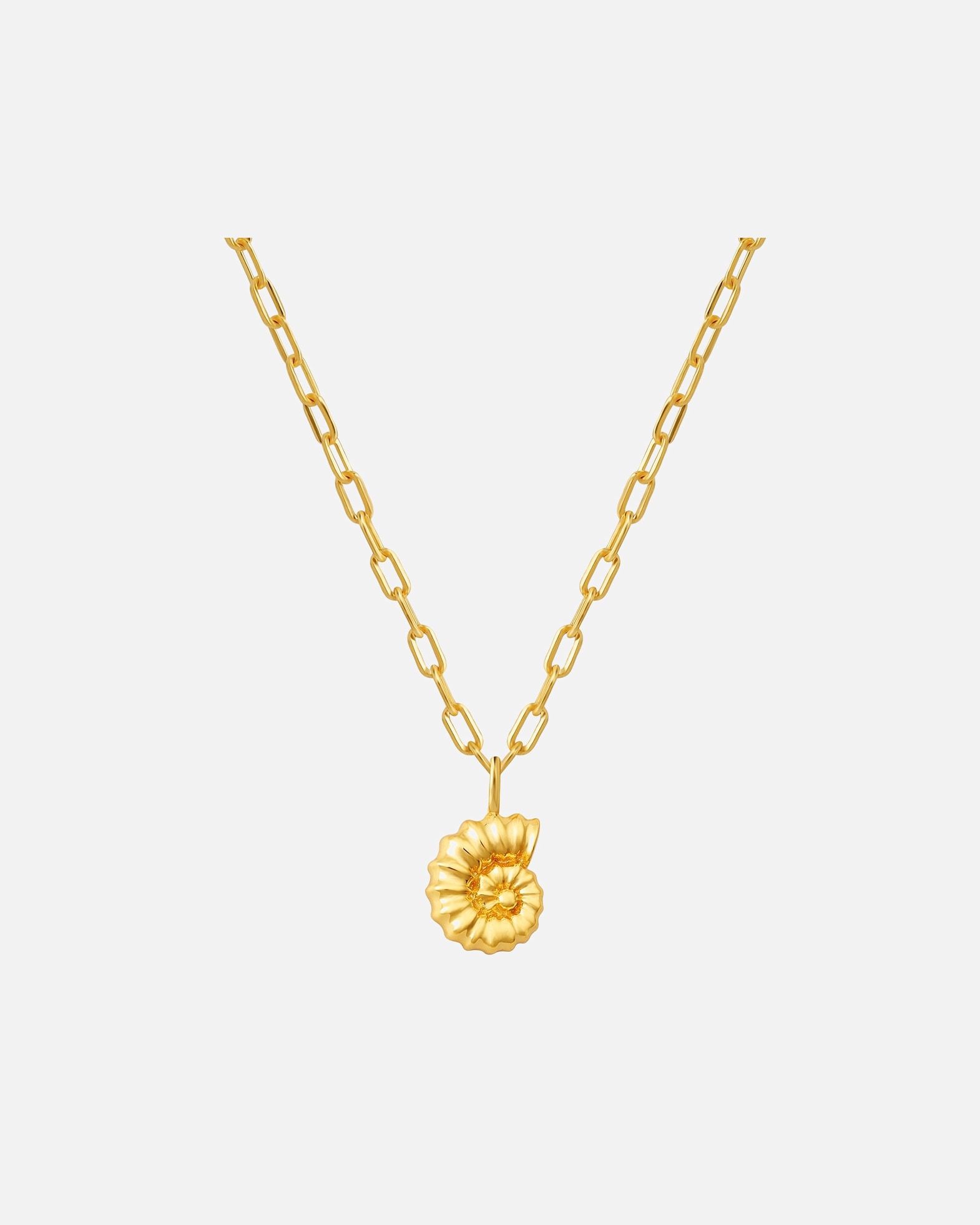Collier pour Femme Glanzstücke München Collier Coquillage en Argent Sterling en or jaune 40,0 cm Basiskette + 5,0 cm Verlängerung