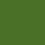 Lightkhaki
