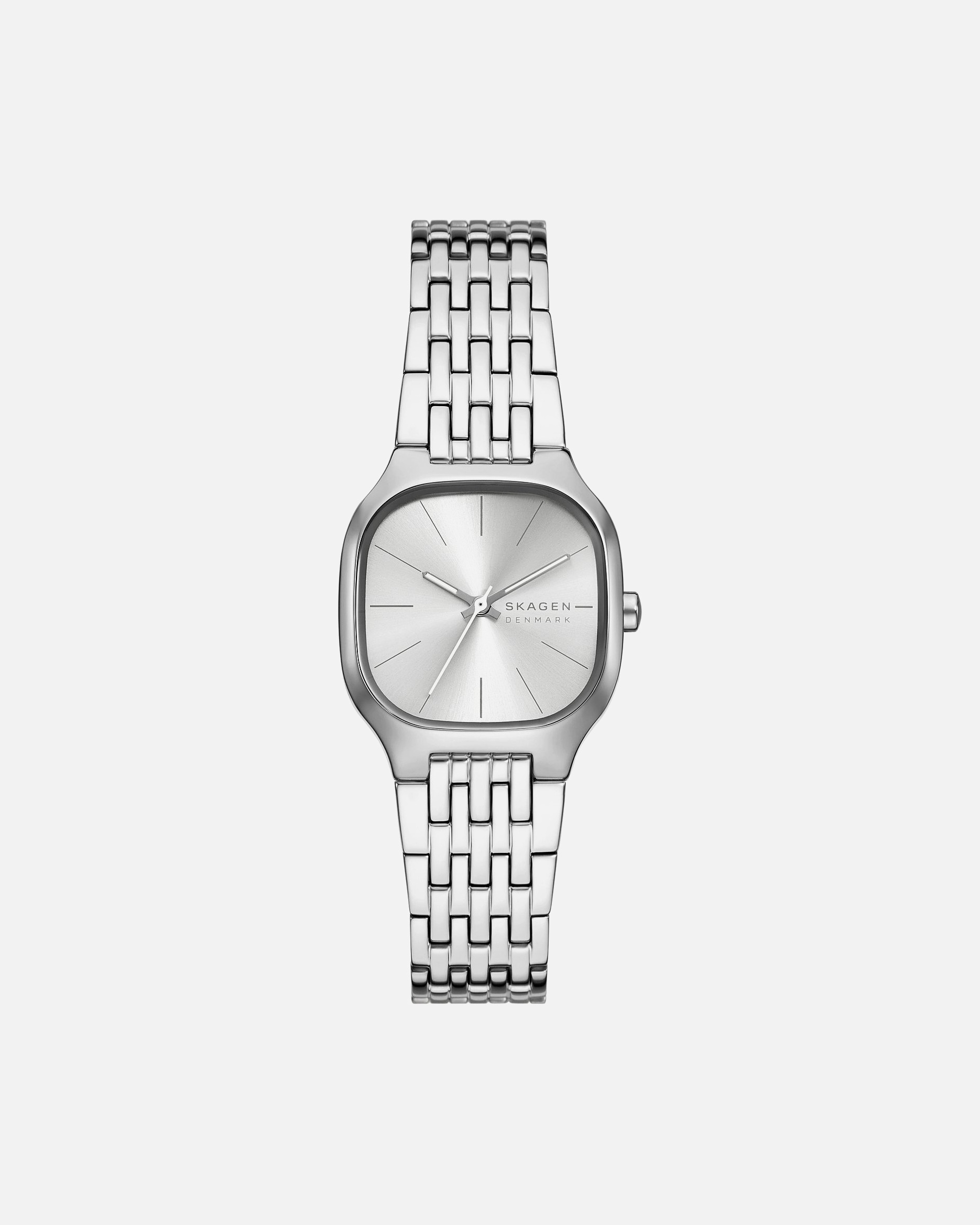 Montre pour Femme Skagen Montres argent