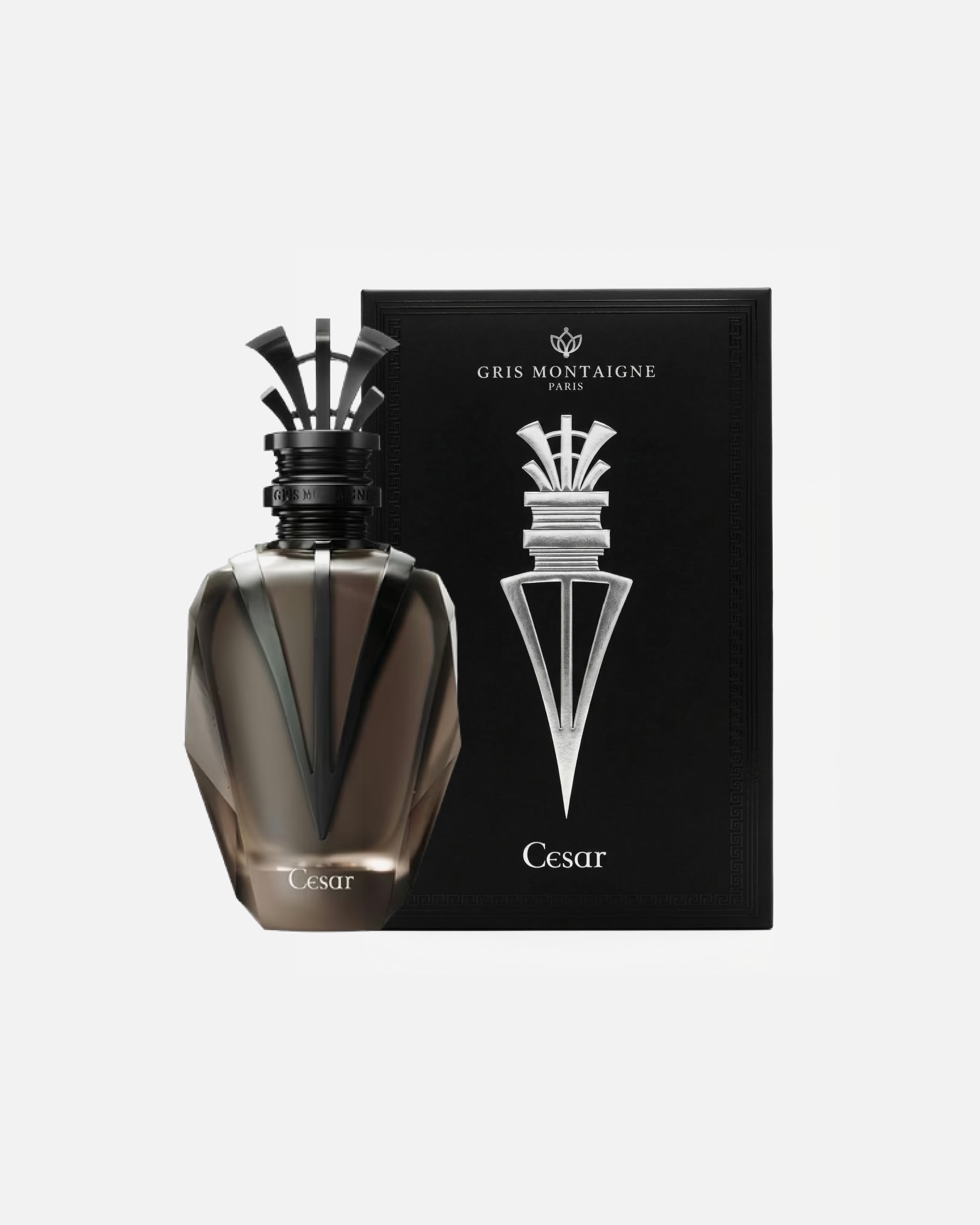 Parfum pour Unisexe Gris Montaigne Default Brand Line Extrait de Parfum Cesar 100 ml