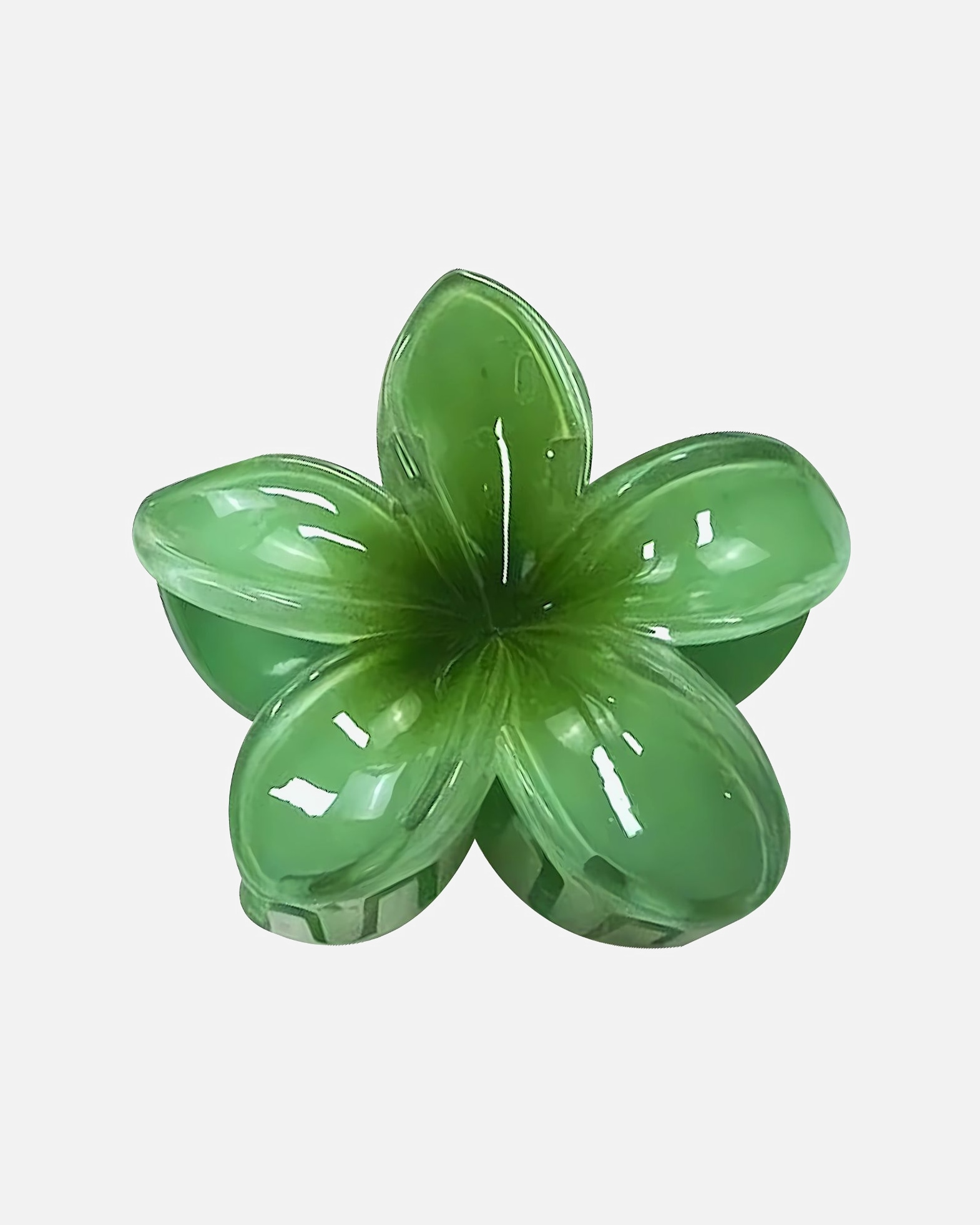 Pince à cheveux pour Unisexe SOHO Moana Pince à cheveux Vert