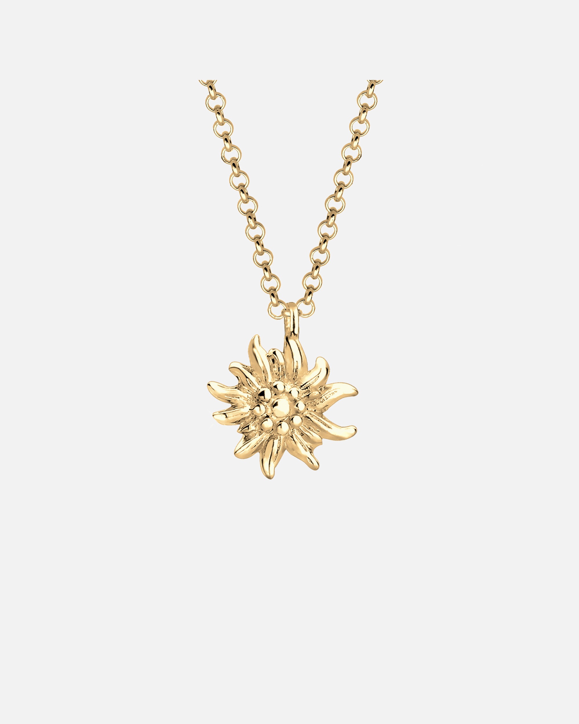 Collier pour Femme Elli Symbole edelweiss Pendentif costume 925 Argent goldfarben