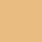 01. Light