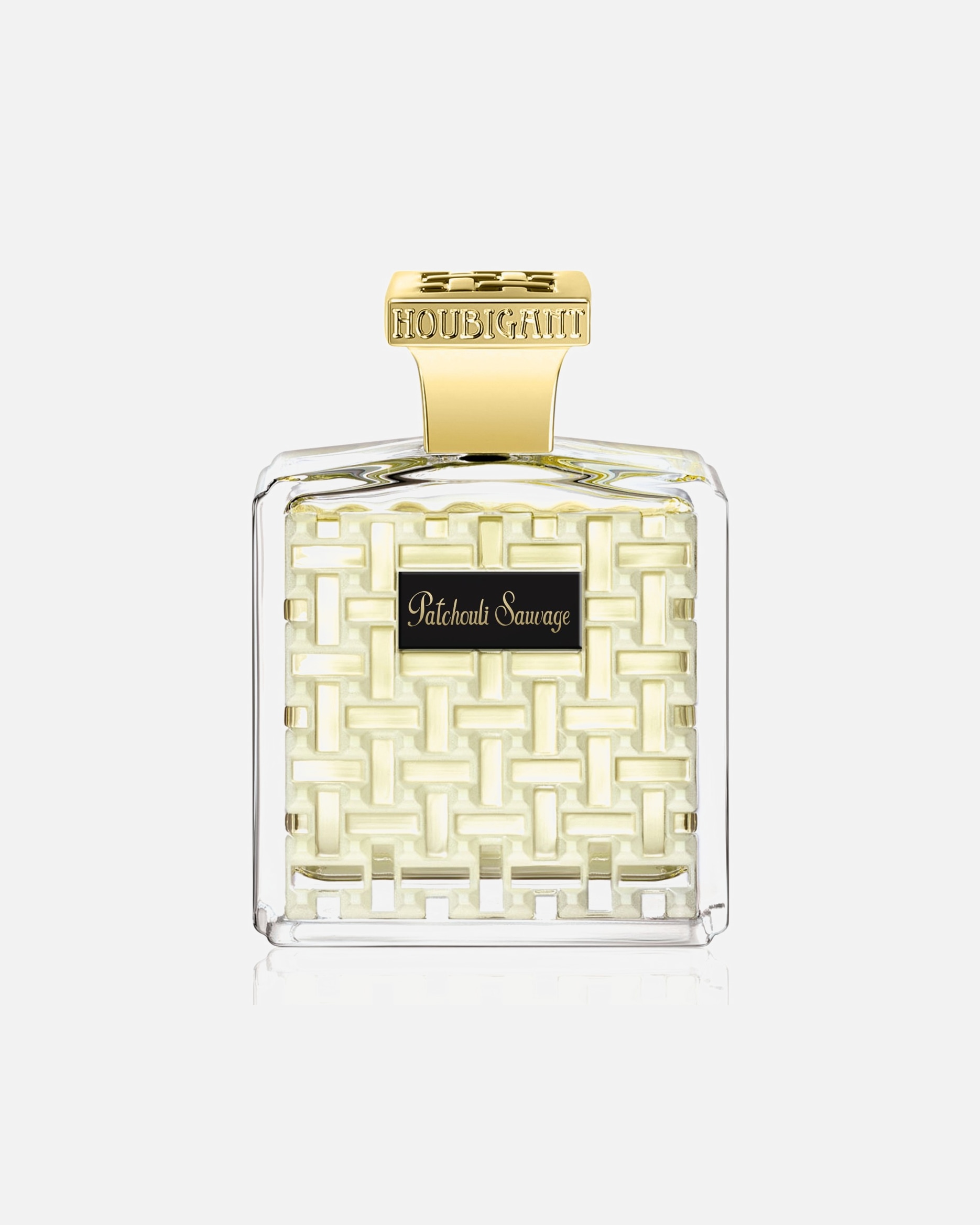 Eau de parfum pour Unisexe HOUBIGANT PATCHOULI SAUVAGE 100 ml