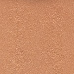 001 - LIGHT NEUTRAL