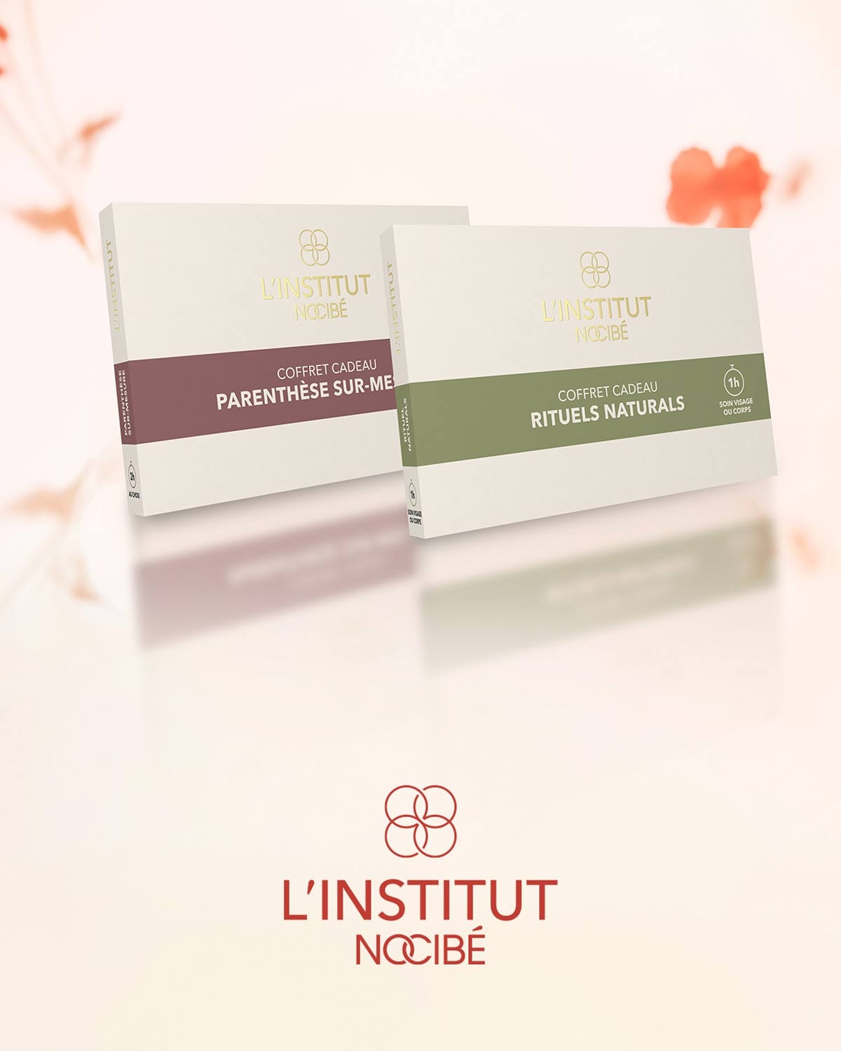 Découvrez les coffrets cadeaux L'INSTITUT NOCIBÉ : un "Coffret Cadeau Parenthèse Sur-Me" avec une bande marron et un "Coffret Cadeau Rituels Naturals" avec une bande verte, pour un soin visage ou corps d'une heure.