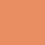 600 CC Apricot