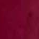 Fuchsia Sauvage