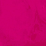 FUCSHIA IN LOV