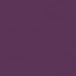 14 Magnetic Purple
