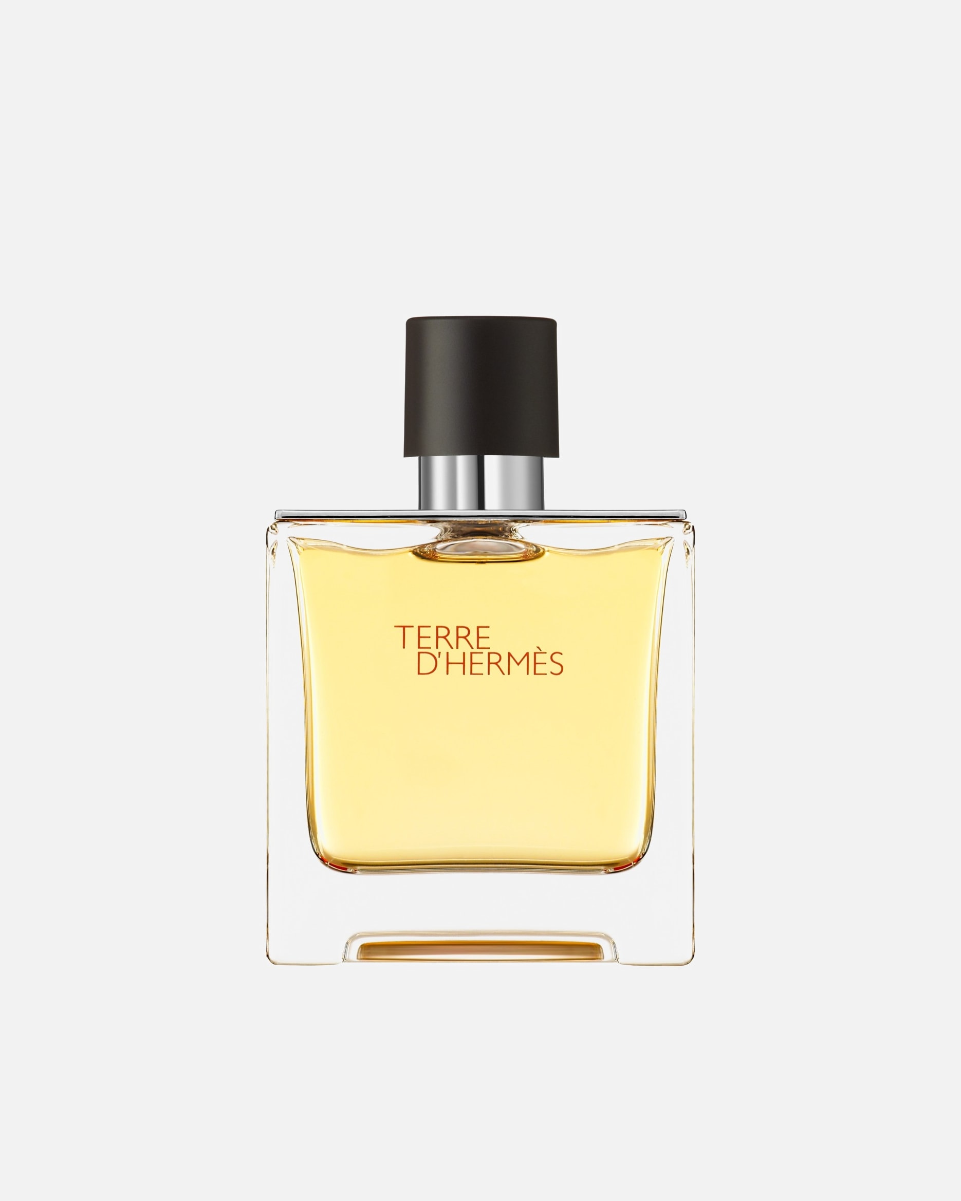 Eau de parfum pour Homme HERMÈS Terre d’Hermès Terre d'Hermès, Parfum, 75 ml 75 ml