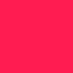 06 GERANIUM