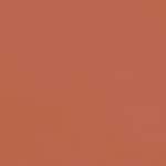 214 BEIGE FAUVE - ÉDITION LIMITÉE